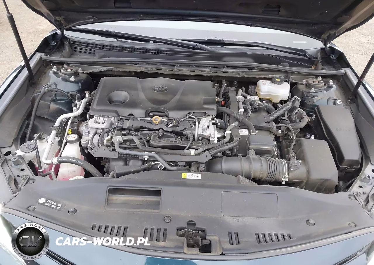 2020 Toyota Camry Xle Hybrid VIN:4T1F31AK1LU528789 - 10