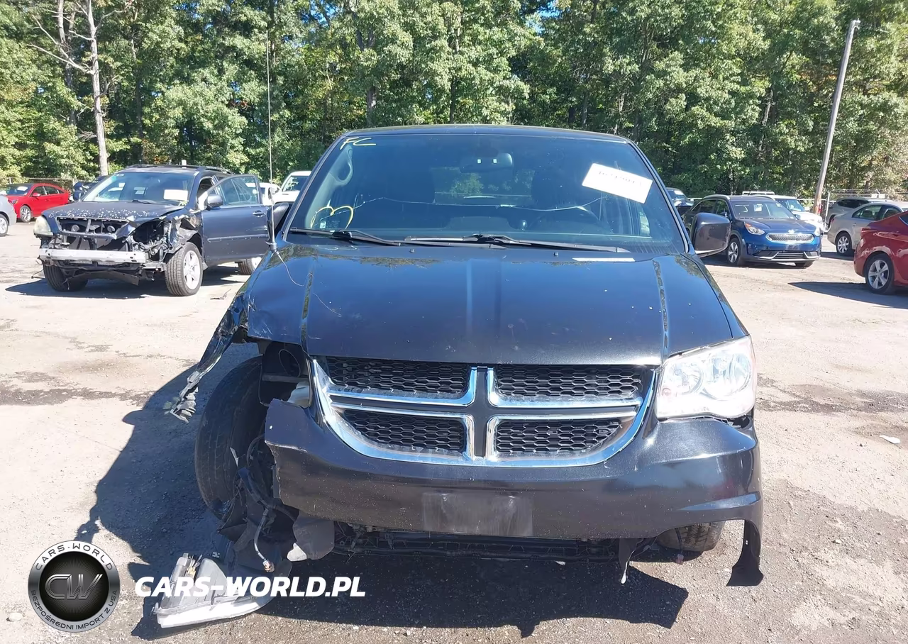 2019 Dodge Grand Caravan Se 35Th Anniversary Edition VIN:2C4RDGBG8KR790493 - 12