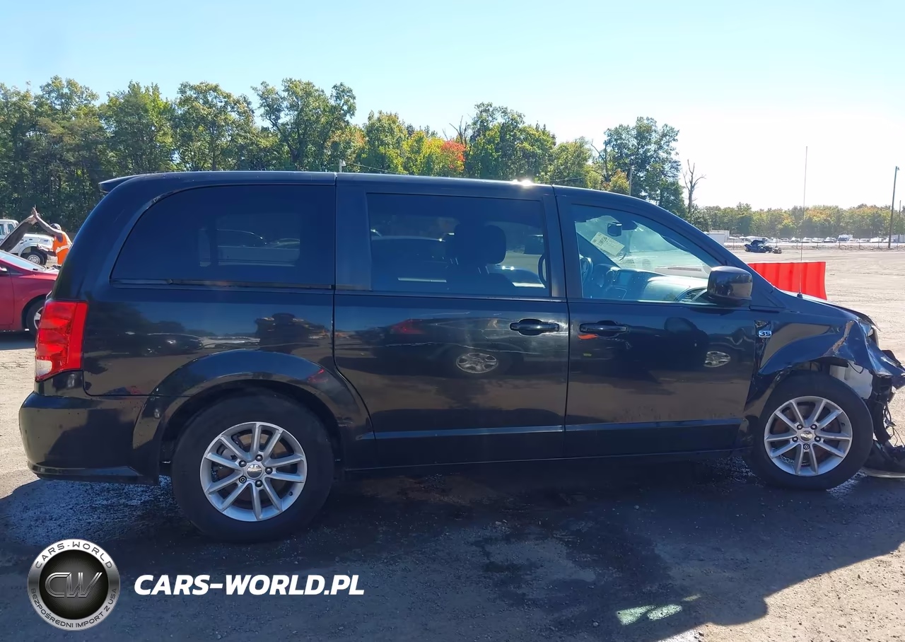 2019 Dodge Grand Caravan Se 35Th Anniversary Edition VIN:2C4RDGBG8KR790493 - 13
