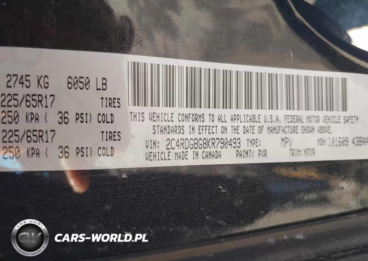 2019 Dodge Grand Caravan Se 35Th Anniversary Edition VIN:2C4RDGBG8KR790493 - 9