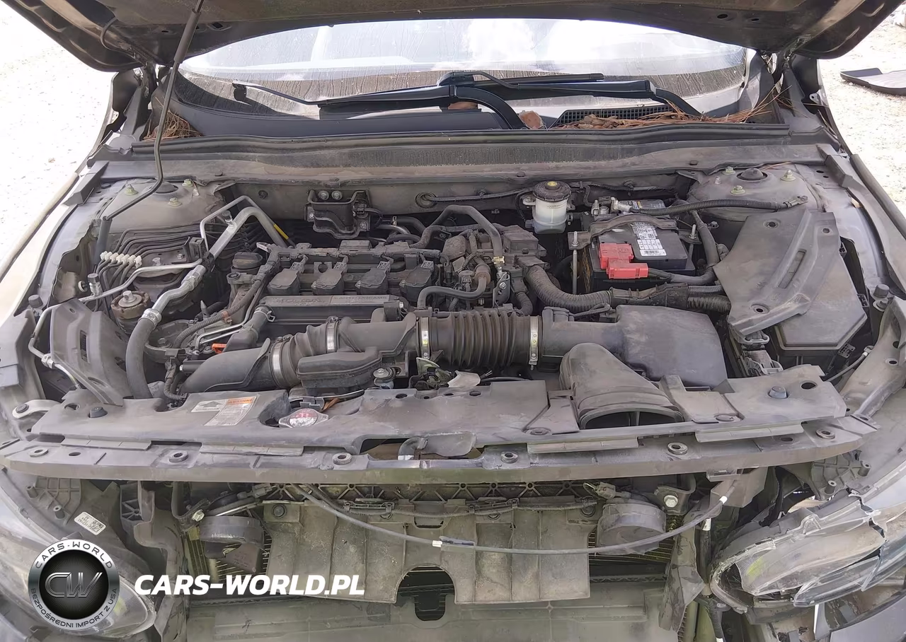 2019 Honda Accord Lx VIN:1HGCV1F17KA074812 - 10