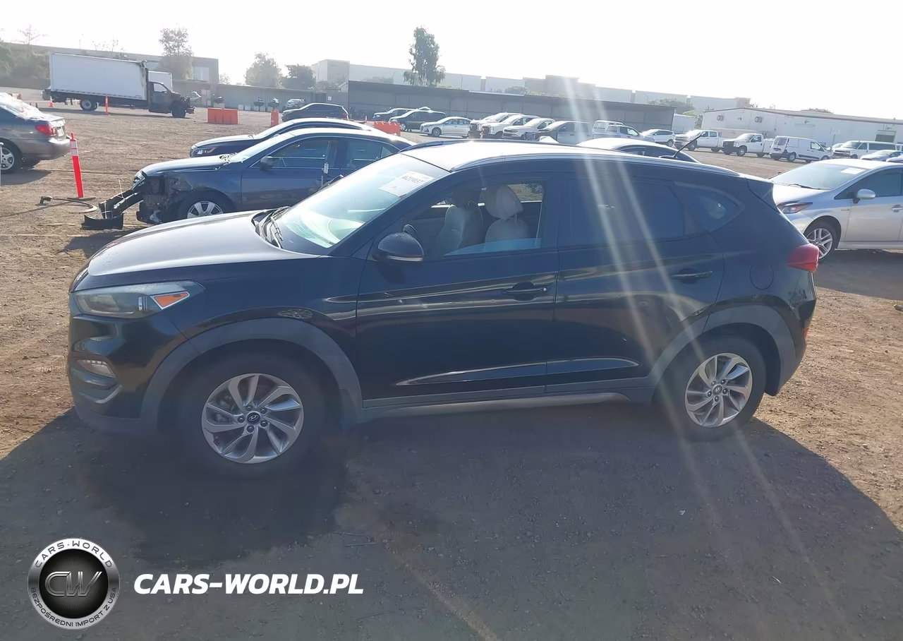 2016 Hyundai Tucson Eco VIN:KM8J33A24GU046894 - 14