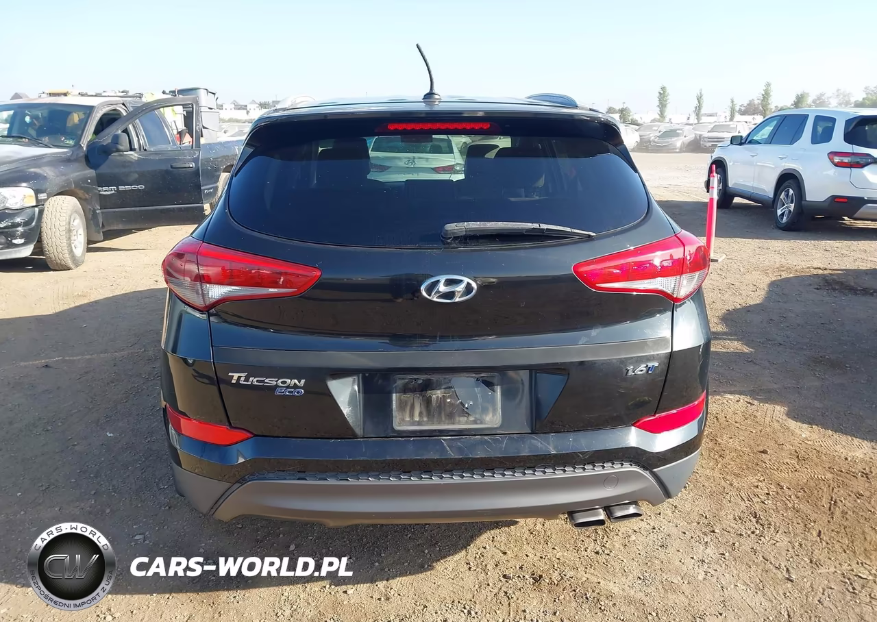 2016 Hyundai Tucson Eco VIN:KM8J33A24GU046894 - 16