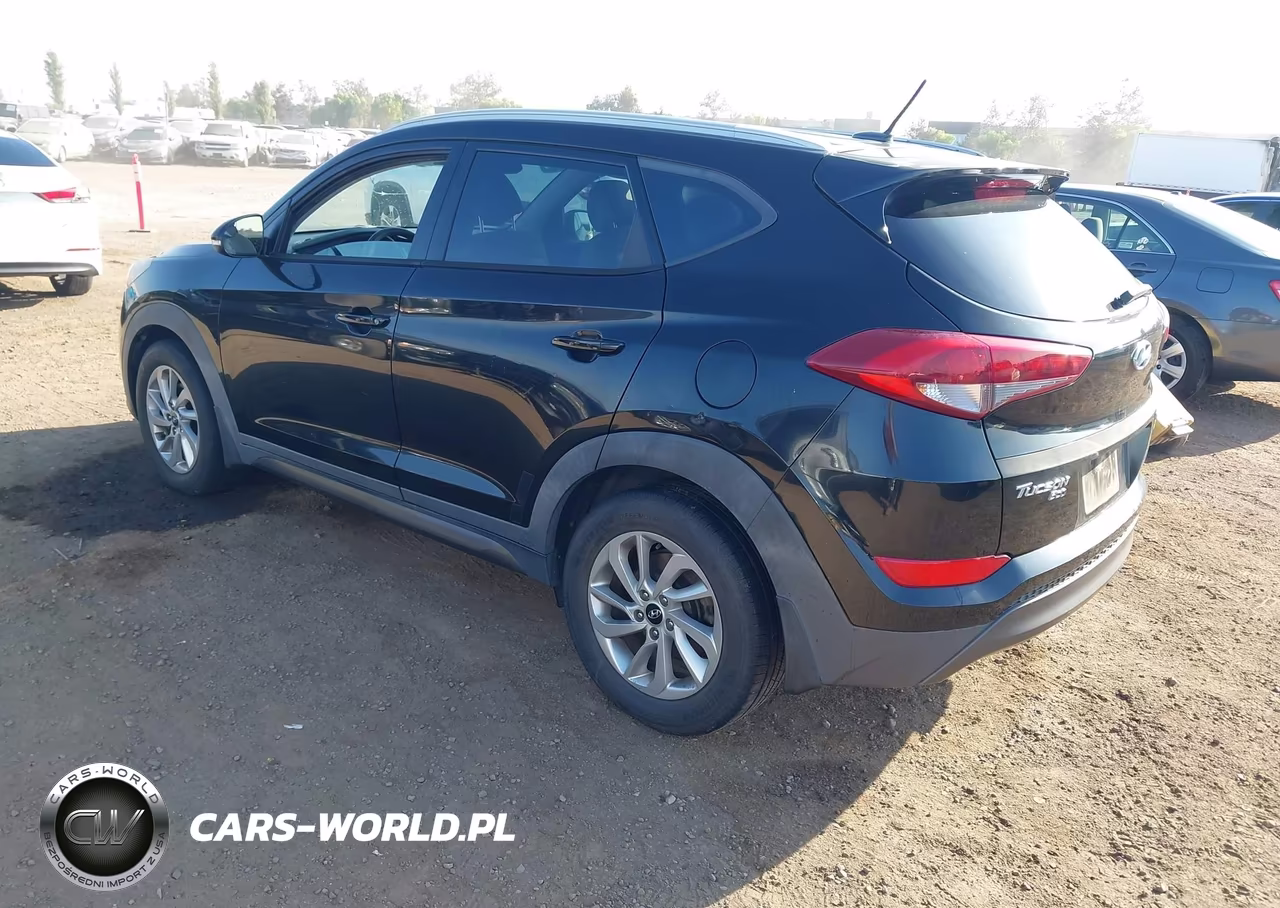 2016 Hyundai Tucson Eco VIN:KM8J33A24GU046894 - 3