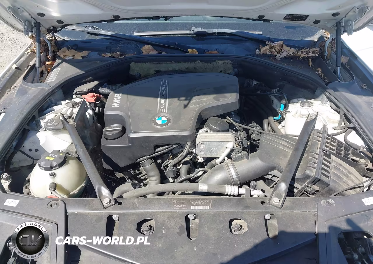 2012 BMW 528I VIN:WBAXG5C53CDW66309 - 10