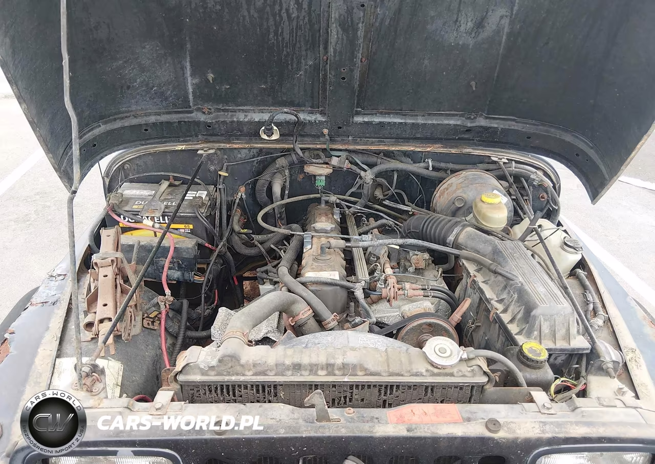 1995 Jeep Wrangler - Yj Se VIN:1J4FY29S2SP298655 - 10