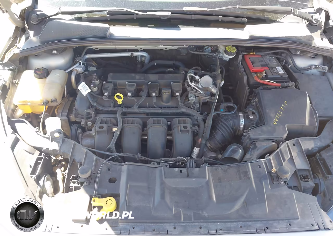 2016 Ford Focus Se VIN:1FADP3F22GL365446 - 10