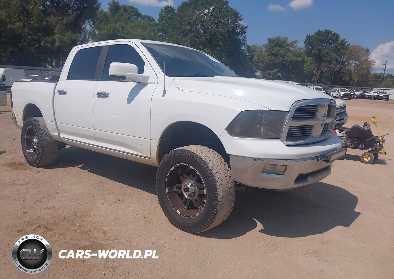 2010 Dodge Ram 1500 Slt-Sport-Trx VIN:1D7RV1CTXAS239863 - 1
