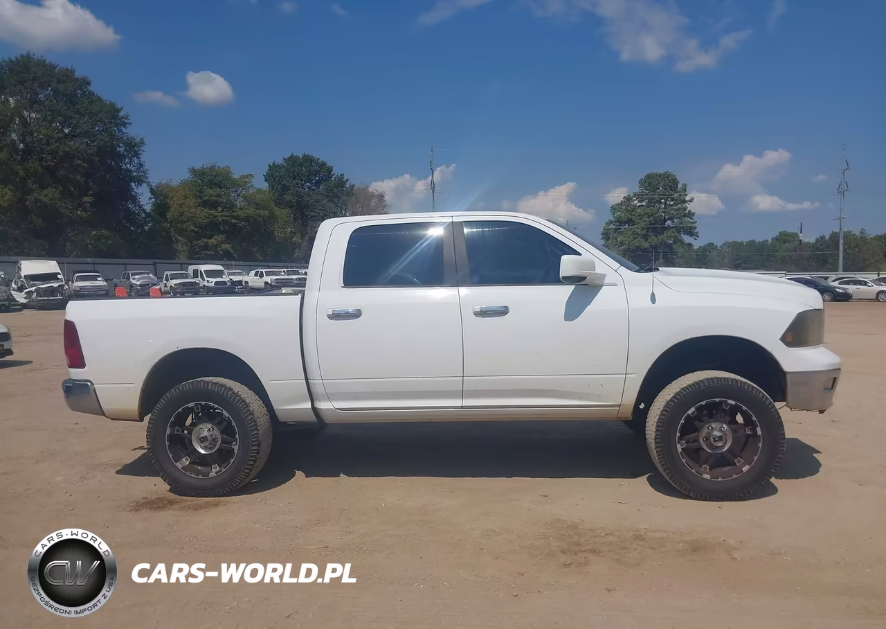 2010 Dodge Ram 1500 Slt-Sport-Trx VIN:1D7RV1CTXAS239863 - 12