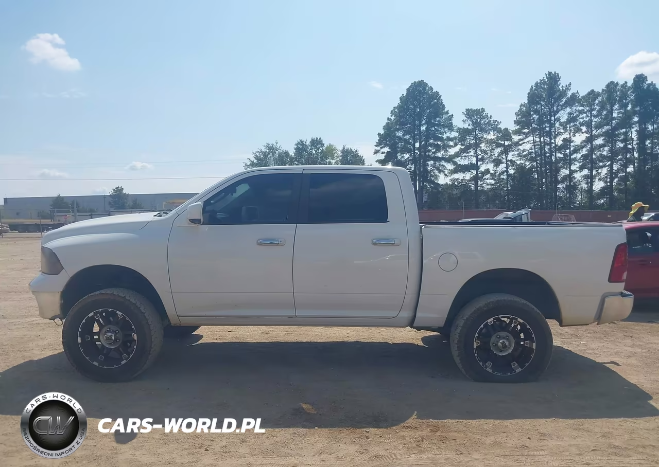 2010 Dodge Ram 1500 Slt-Sport-Trx VIN:1D7RV1CTXAS239863 - 13