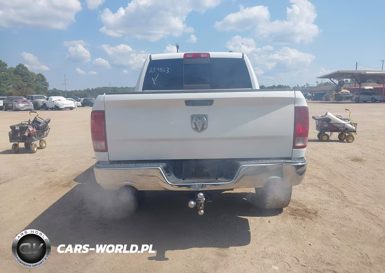 2010 Dodge Ram 1500 Slt-Sport-Trx VIN:1D7RV1CTXAS239863 - 15