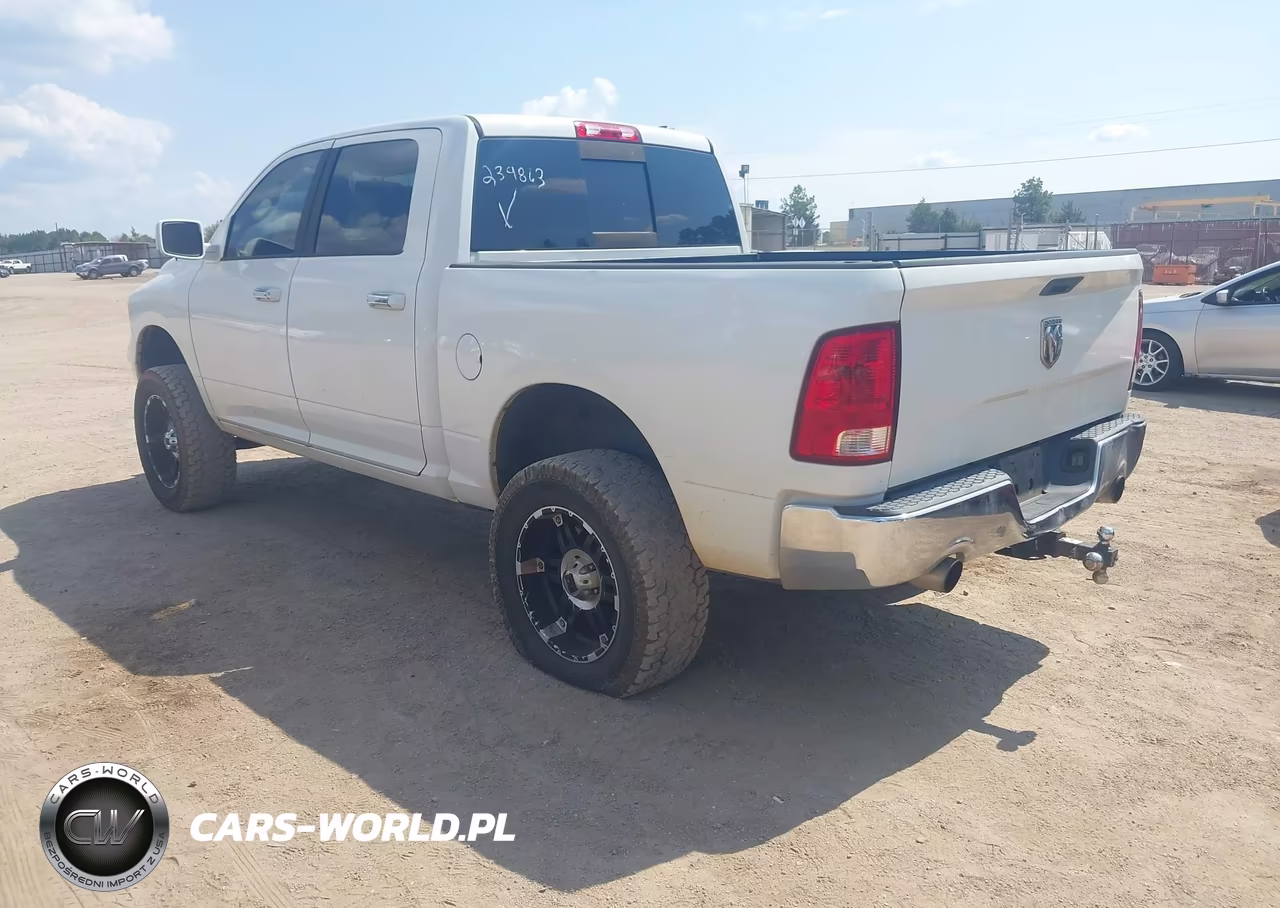 2010 Dodge Ram 1500 Slt-Sport-Trx VIN:1D7RV1CTXAS239863 - 3