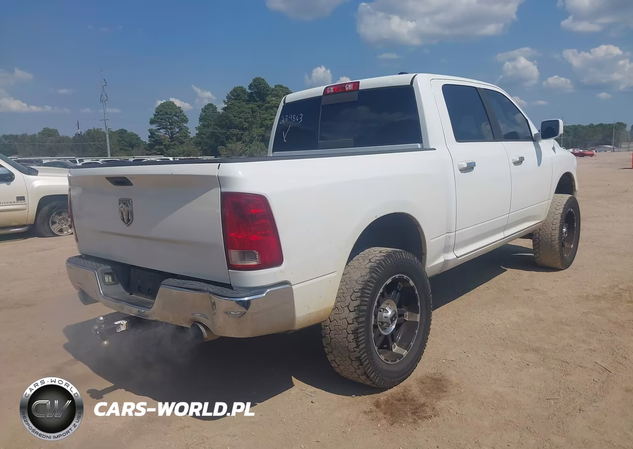 2010 Dodge Ram 1500 Slt-Sport-Trx VIN:1D7RV1CTXAS239863 - 4