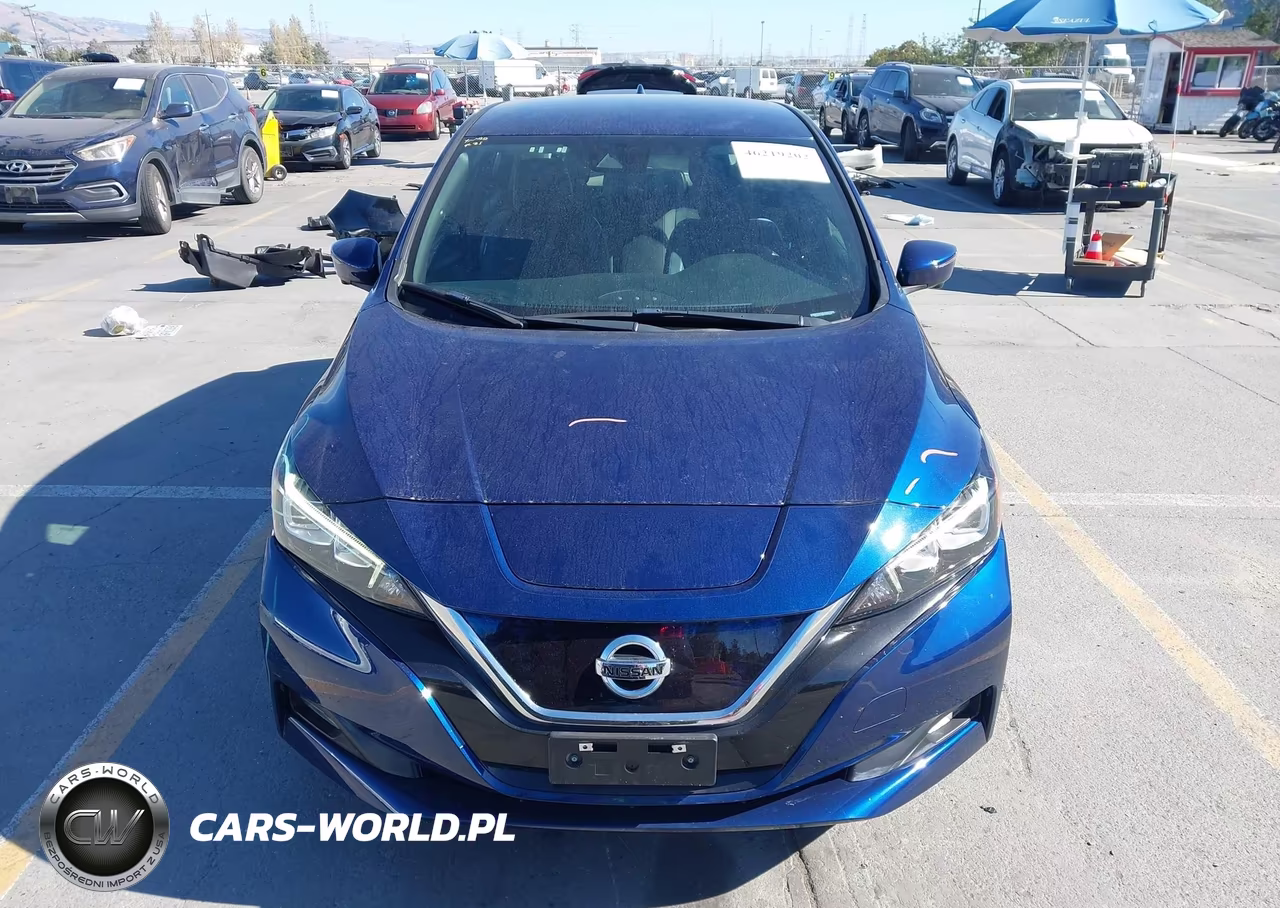 2018 Nissan Leaf Sl VIN:1N4AZ1CP8JC317667 - 12