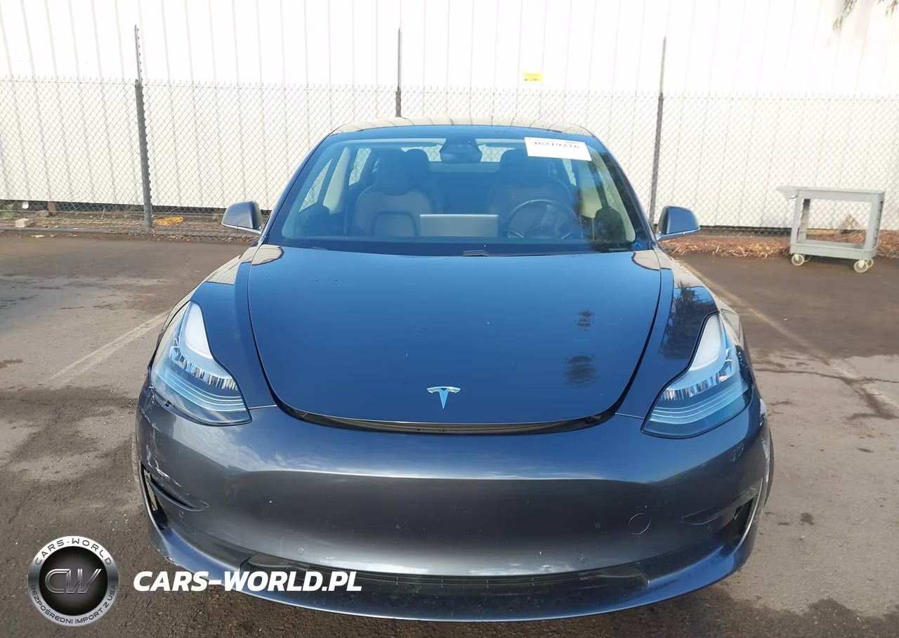 2020 Tesla Model 3 Standard Range Plus Rear-Wheel Drive-Standard Range Rear-Wheel Drive VIN:5YJ3E1EA4LF630373 - 11