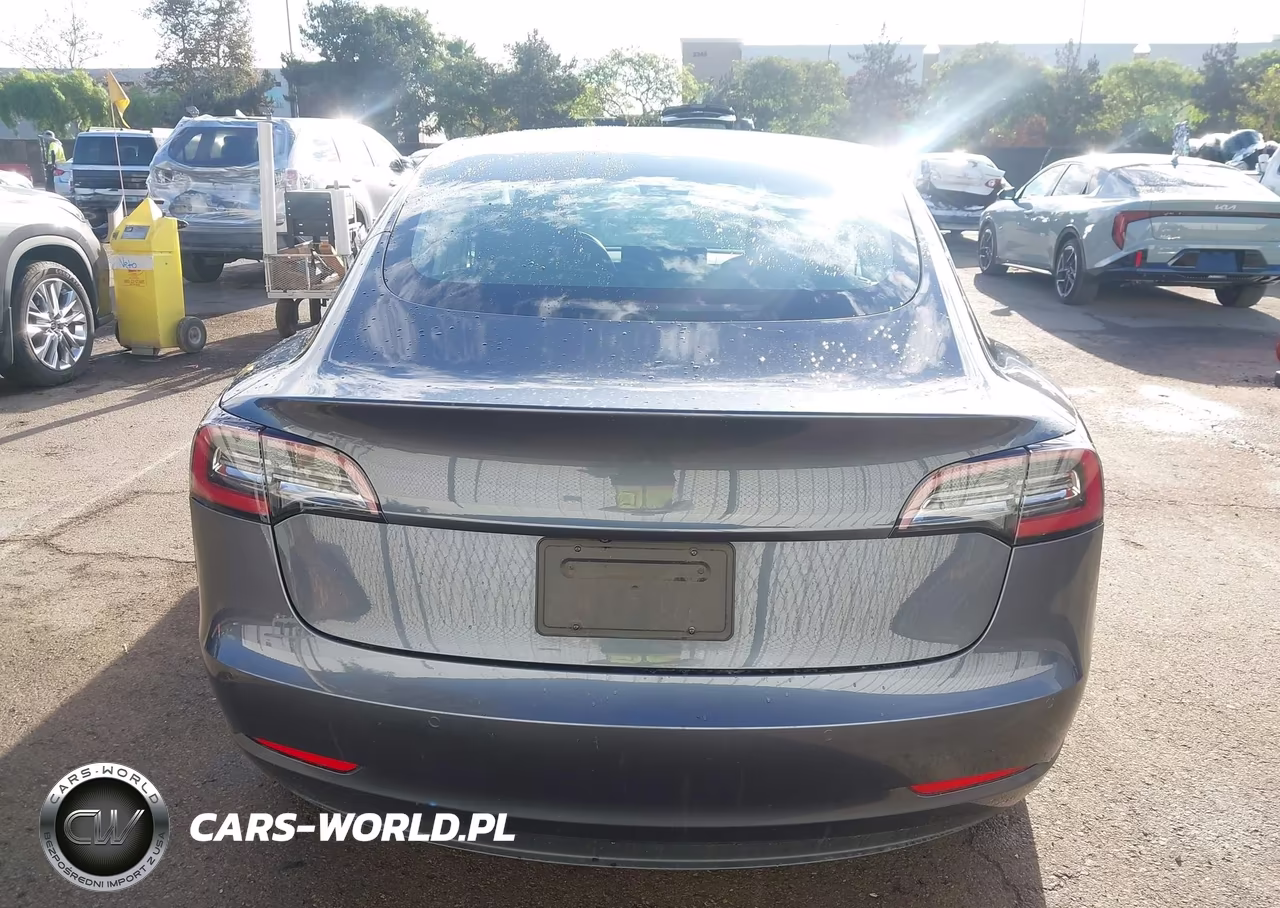 2020 Tesla Model 3 Standard Range Plus Rear-Wheel Drive-Standard Range Rear-Wheel Drive VIN:5YJ3E1EA4LF630373 - 15