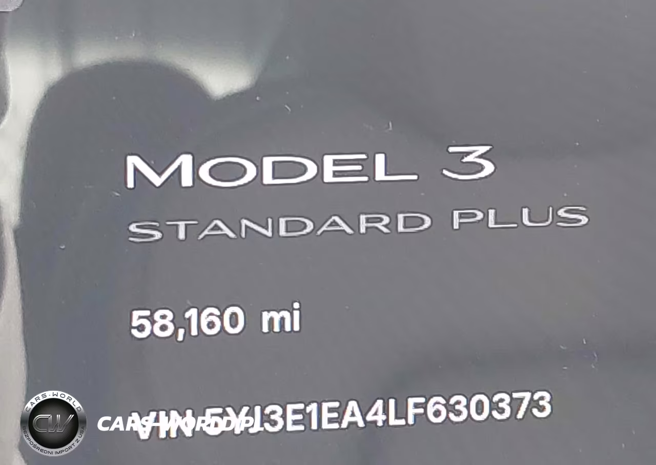 2020 Tesla Model 3 Standard Range Plus Rear-Wheel Drive-Standard Range Rear-Wheel Drive VIN:5YJ3E1EA4LF630373 - 7