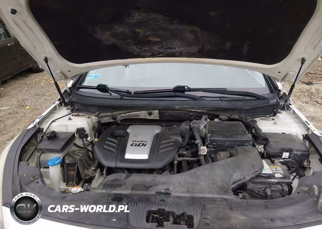 2016 Hyundai Sonata Eco VIN:5NPE24AA5GH427167 - 10