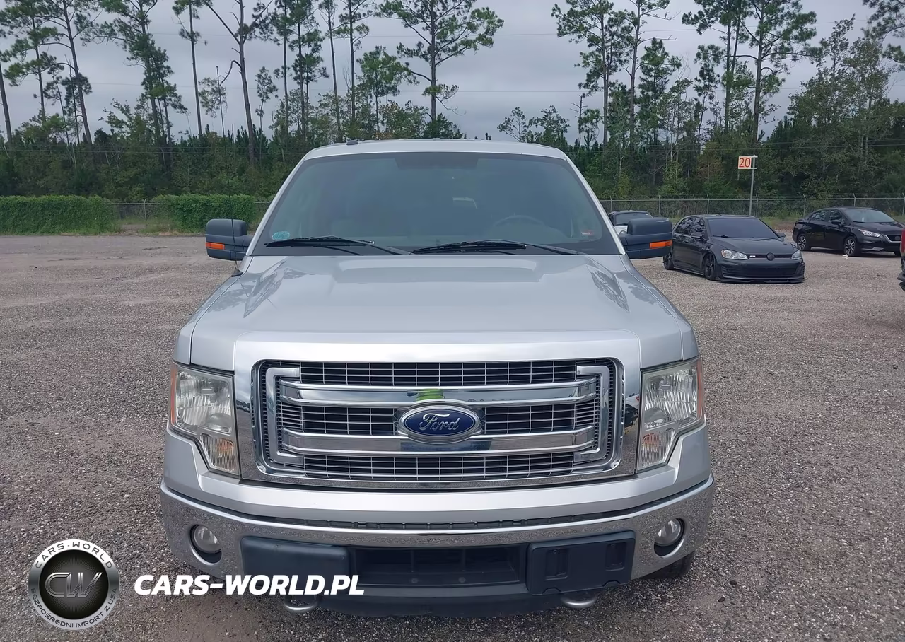 2014 Ford F-150 Xlt VIN:1FTFW1ET5EFC19459 - 12