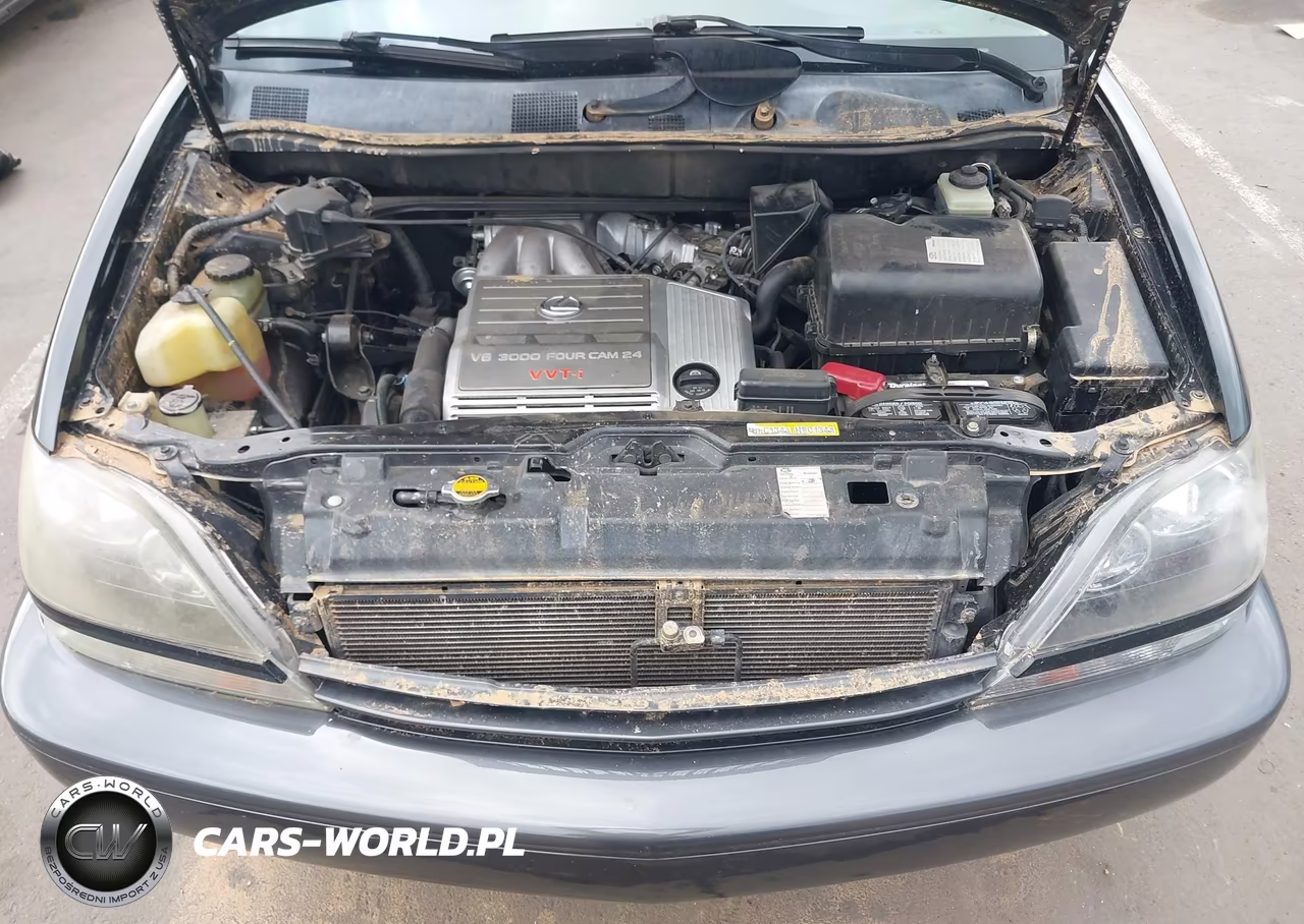 1999 Lexus Rx 300 VIN:JT6GF10U4X0011140 - 10