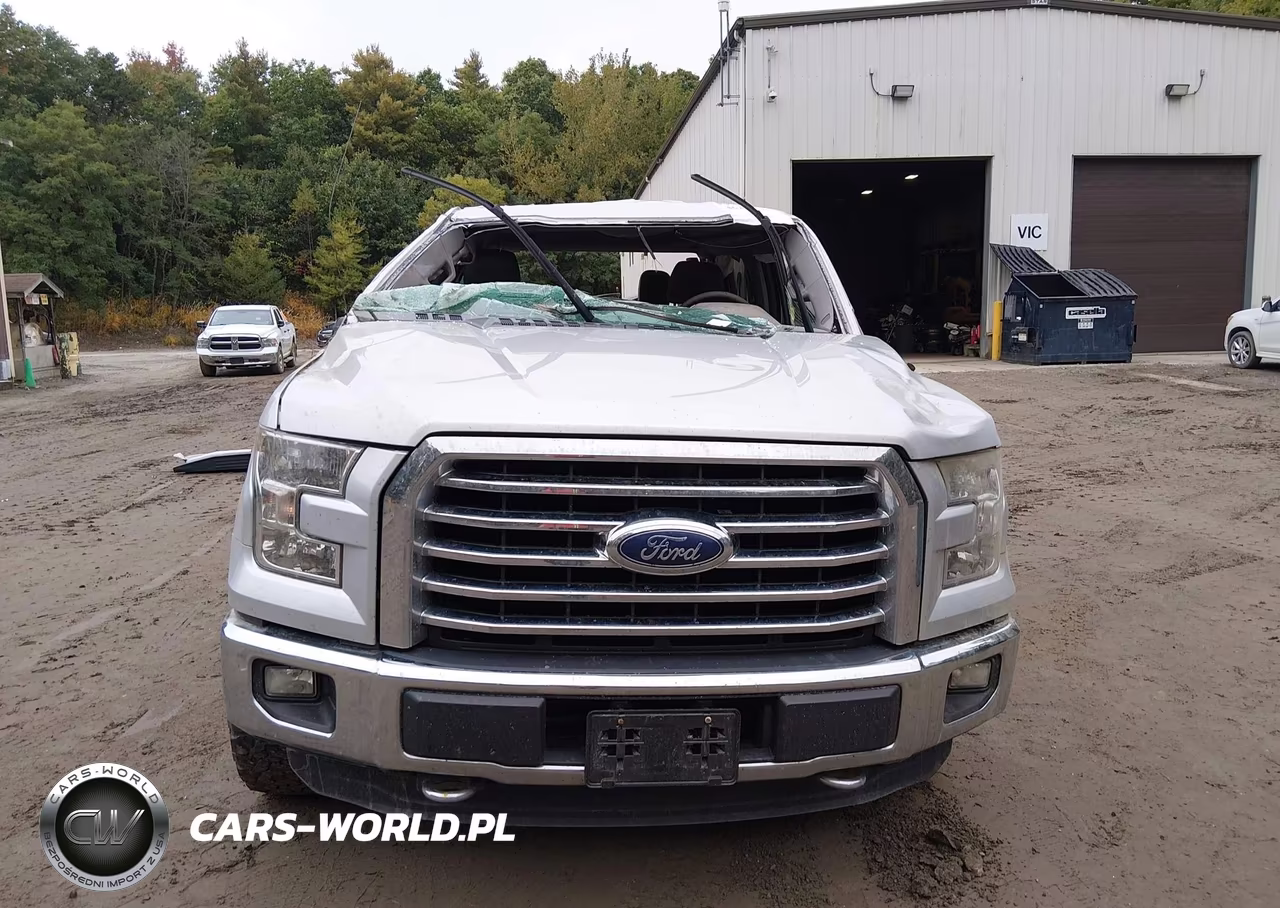 2015 Ford F-150 Xlt VIN:1FTEW1EG0FFC10197 - 12