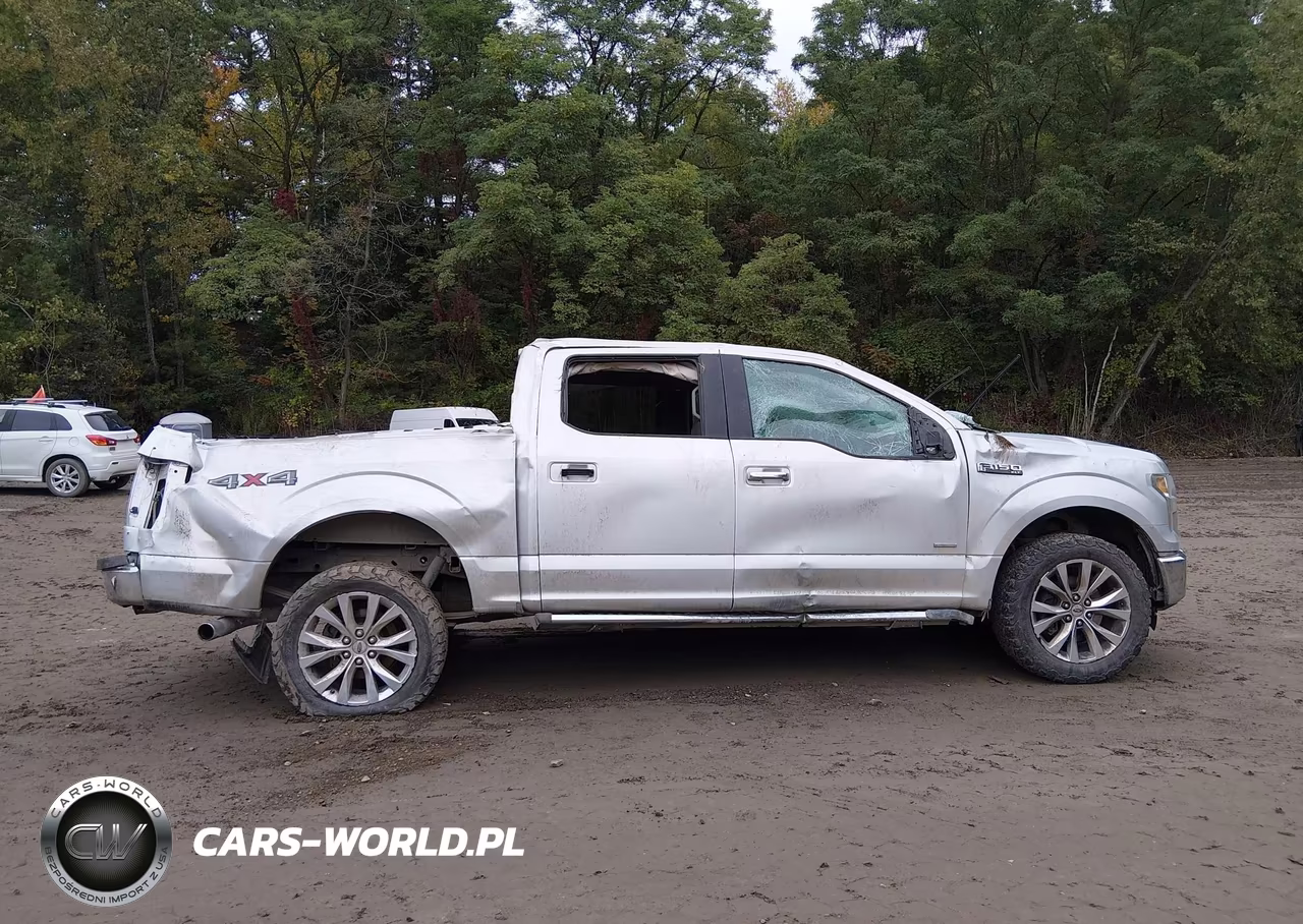 2015 Ford F-150 Xlt VIN:1FTEW1EG0FFC10197 - 13