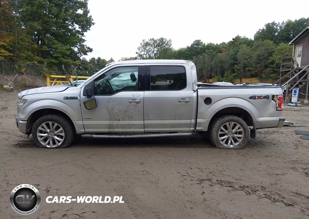 2015 Ford F-150 Xlt VIN:1FTEW1EG0FFC10197 - 14