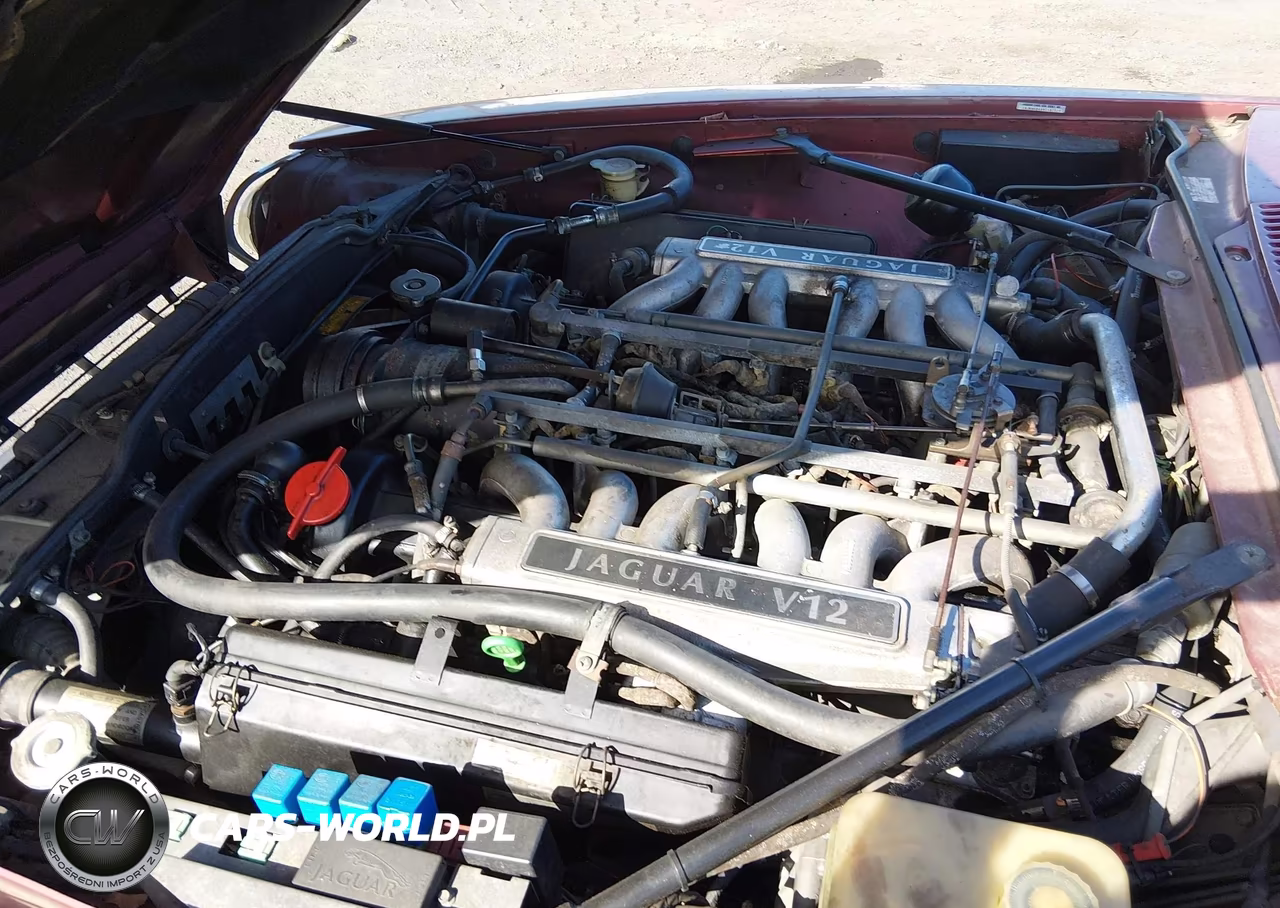 1992 Jaguar Xjs VIN:SAJNW484XNC182526 - 10