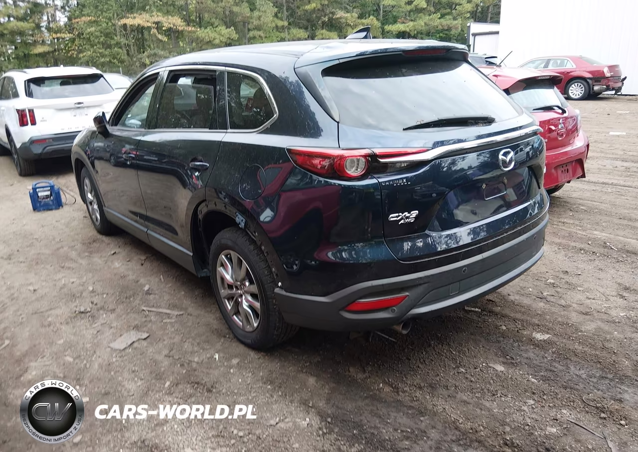 2018 Mazda Cx-9 Touring VIN:JM3TCBCY9J0200501 - 3