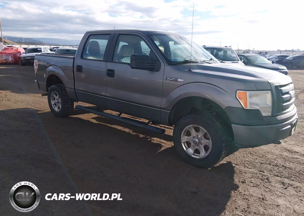 2010 Ford F-150 Xl-Xlt
