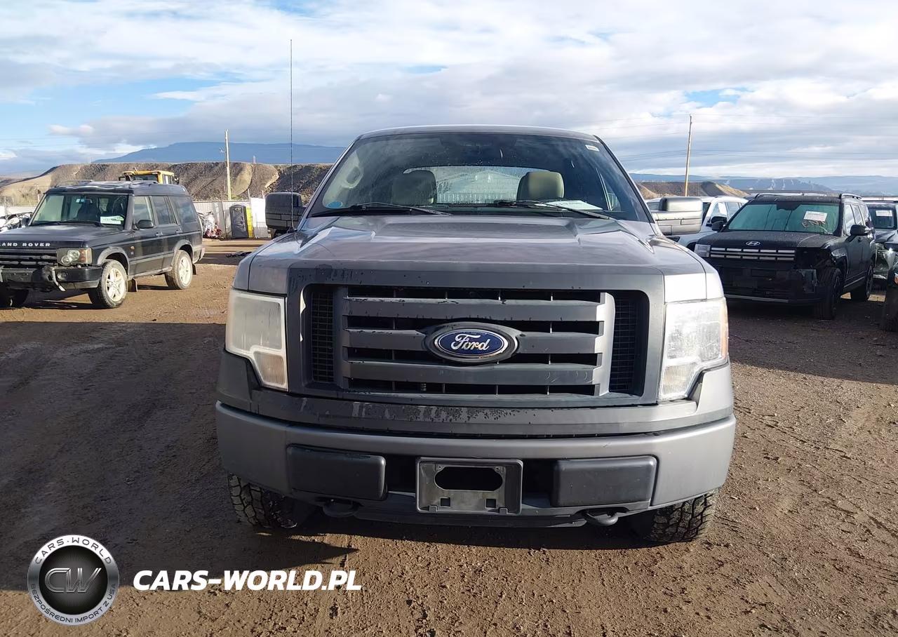 2010 Ford F-150 Xl-Xlt VIN:1FTEW1E80AFA92038 - 12