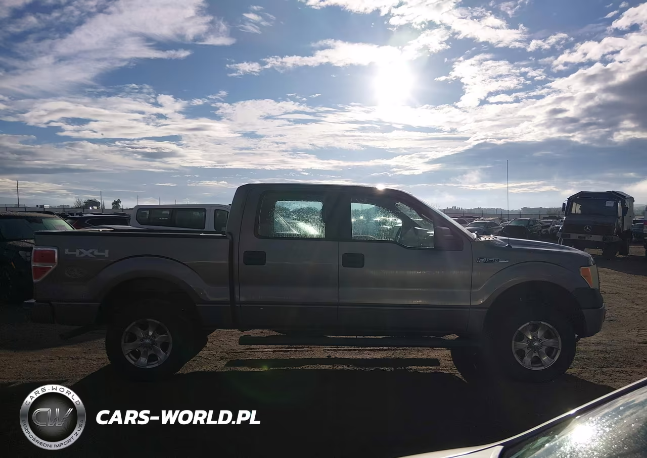 2010 Ford F-150 Xl-Xlt VIN:1FTEW1E80AFA92038 - 13