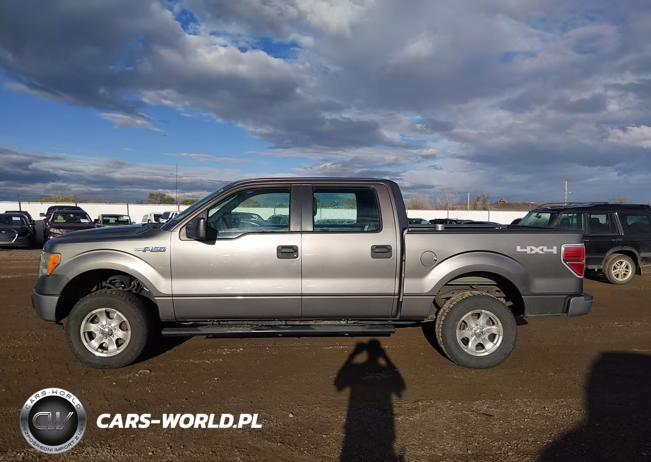2010 Ford F-150 Xl-Xlt VIN:1FTEW1E80AFA92038 - 14