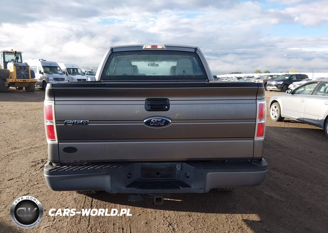 2010 Ford F-150 Xl-Xlt VIN:1FTEW1E80AFA92038 - 16