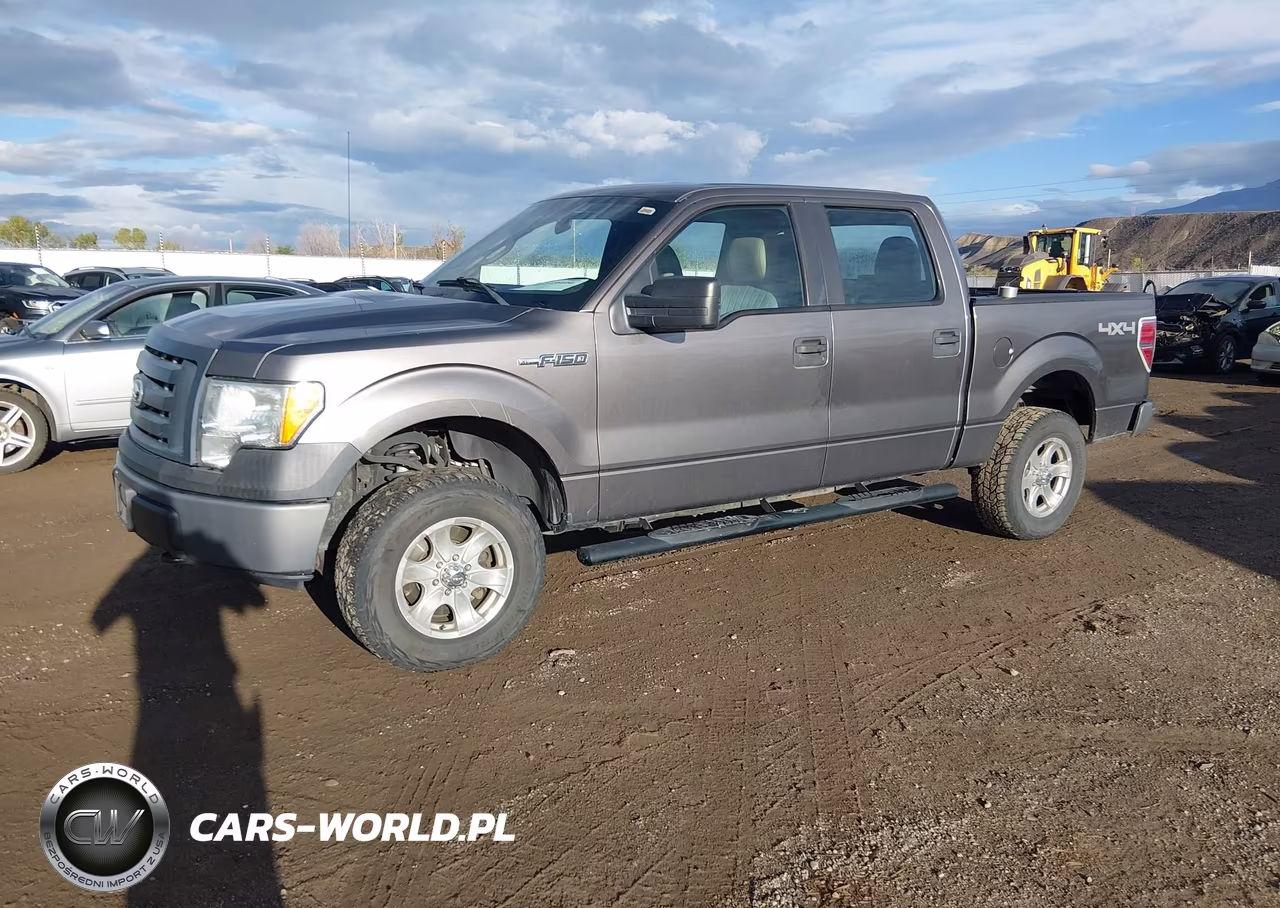 2010 Ford F-150 Xl-Xlt VIN:1FTEW1E80AFA92038 - 2