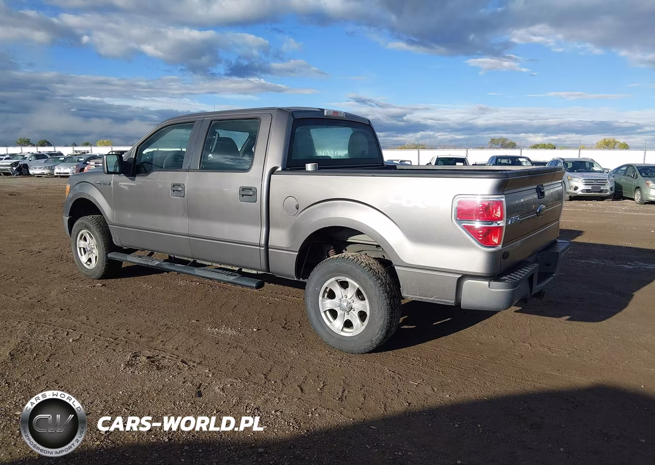 2010 Ford F-150 Xl-Xlt VIN:1FTEW1E80AFA92038 - 3