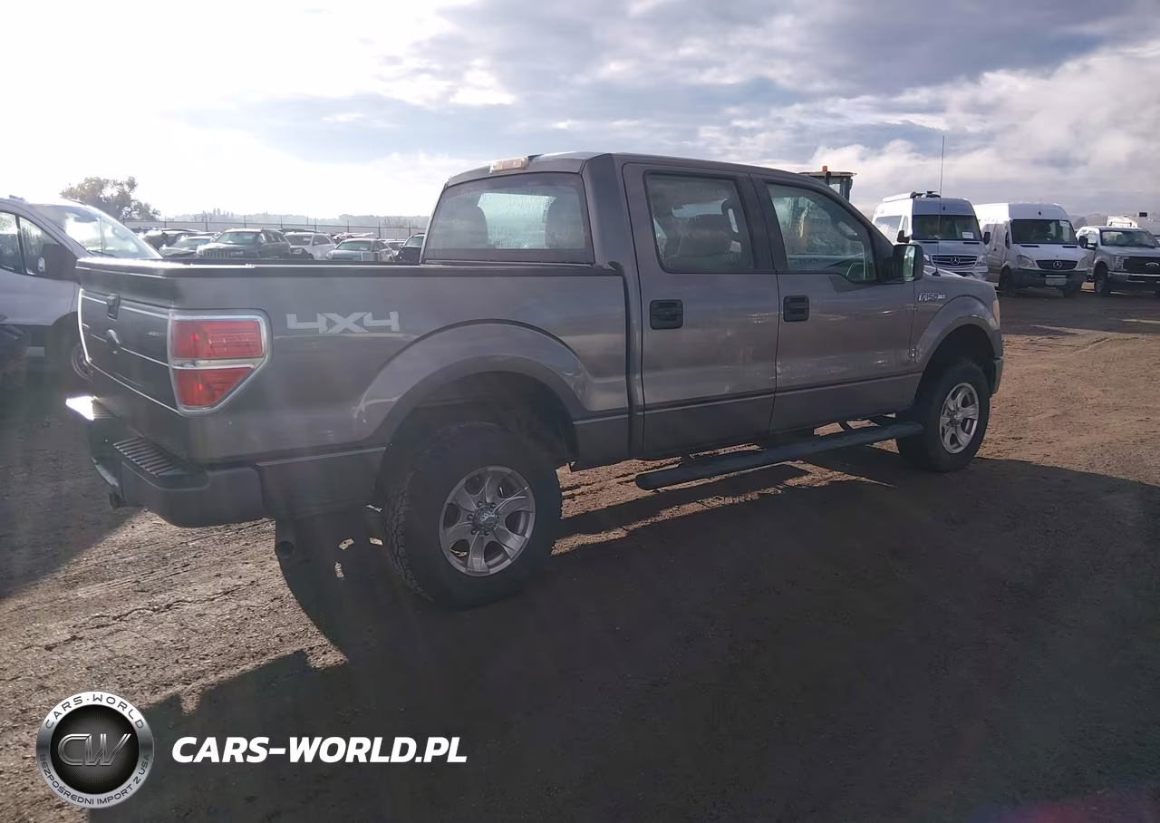 2010 Ford F-150 Xl-Xlt VIN:1FTEW1E80AFA92038 - 4
