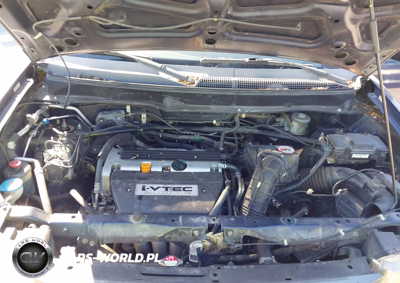 2009 Honda Element Sc VIN:5J6YH18919L001684 - 10