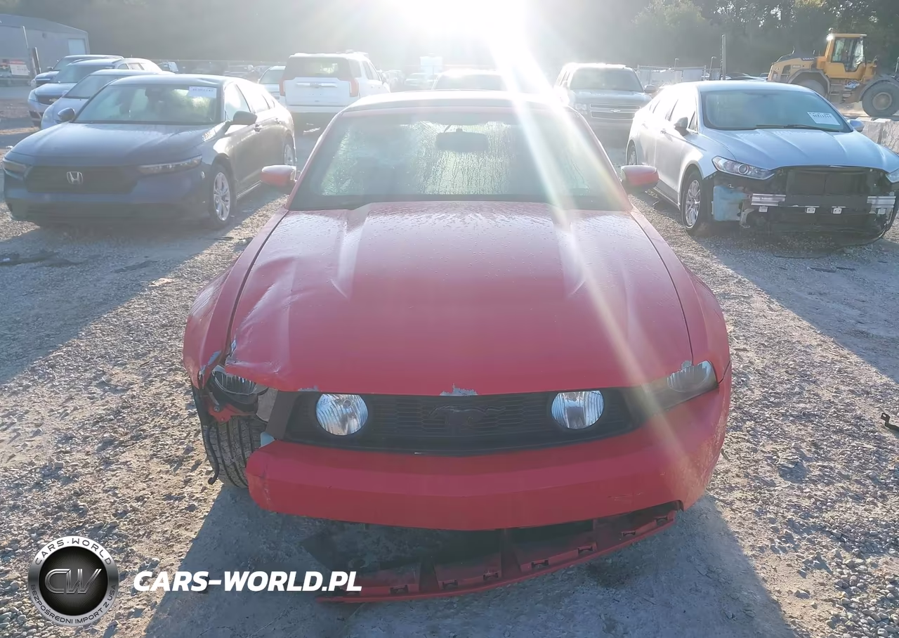 2010 Ford Mustang Gt-Gt Premium VIN:1ZVBP8FH9A5135740 - 12