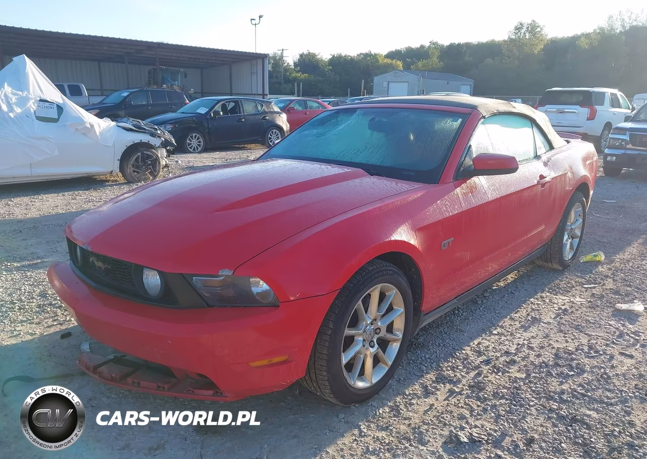 2010 Ford Mustang Gt-Gt Premium VIN:1ZVBP8FH9A5135740 - 2