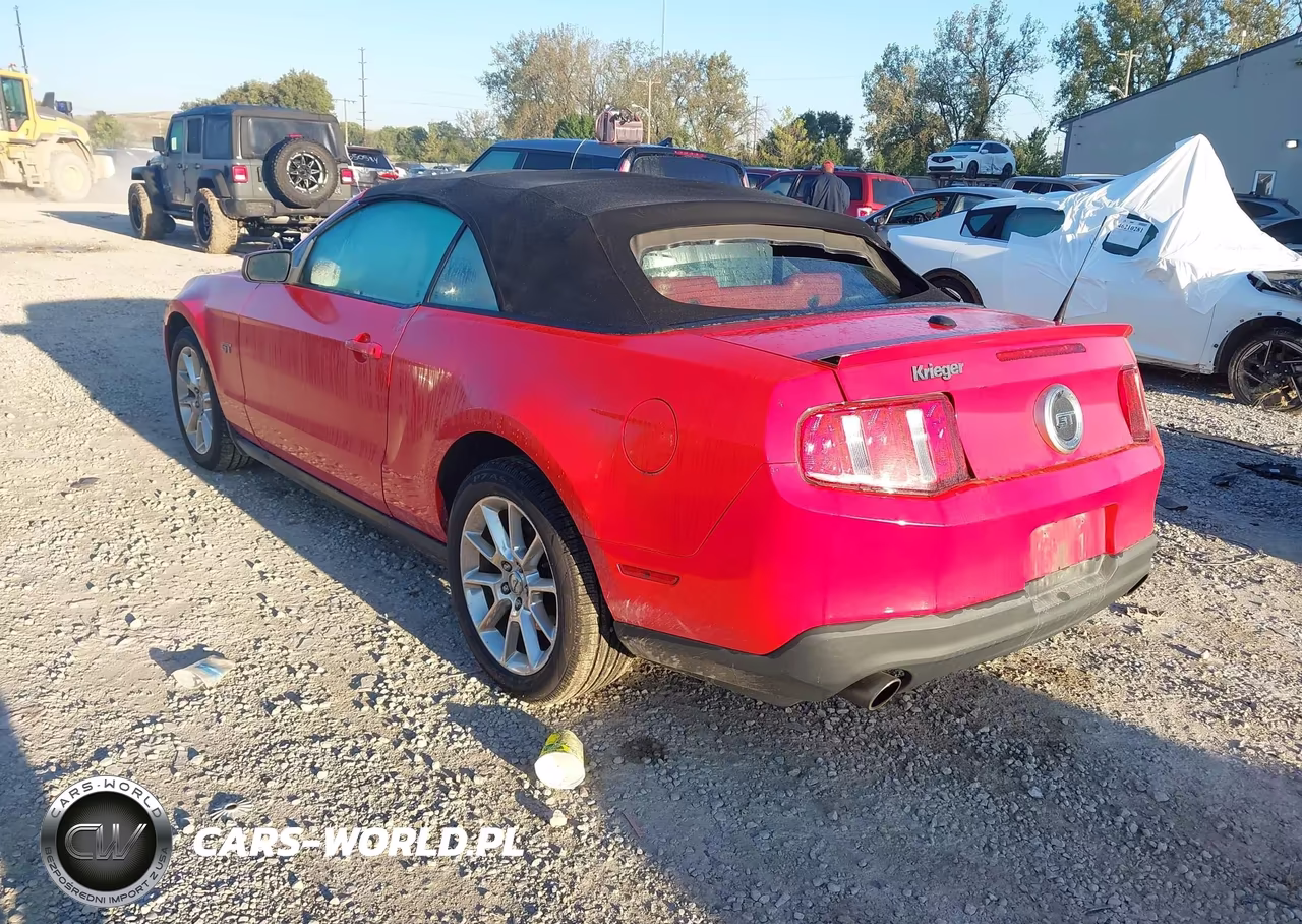 2010 Ford Mustang Gt-Gt Premium VIN:1ZVBP8FH9A5135740 - 3