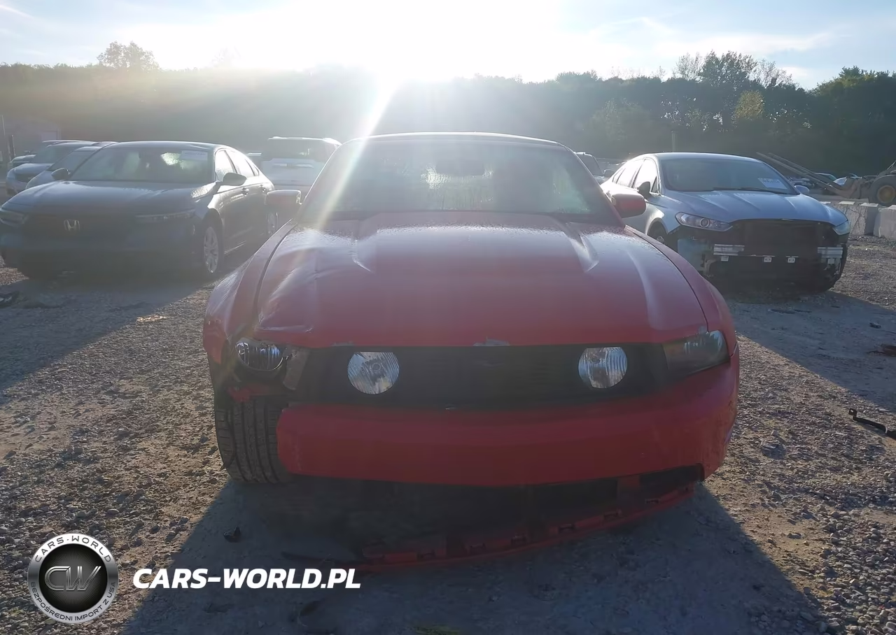 2010 Ford Mustang Gt-Gt Premium VIN:1ZVBP8FH9A5135740 - 6