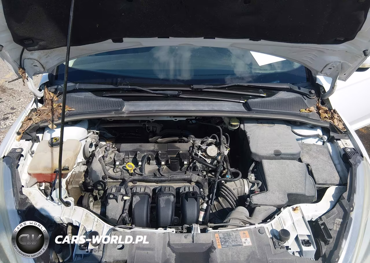 2016 Ford Focus Se VIN:1FADP3F24GL346302 - 10