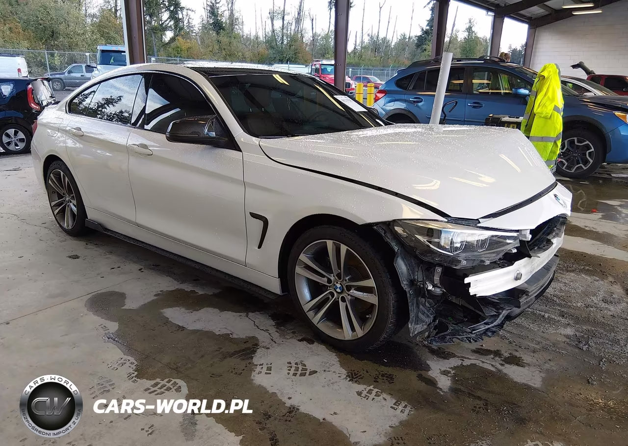 2019 BMW 430I Gran Coupe VIN:WBA4J1C50KBM18431 - 1
