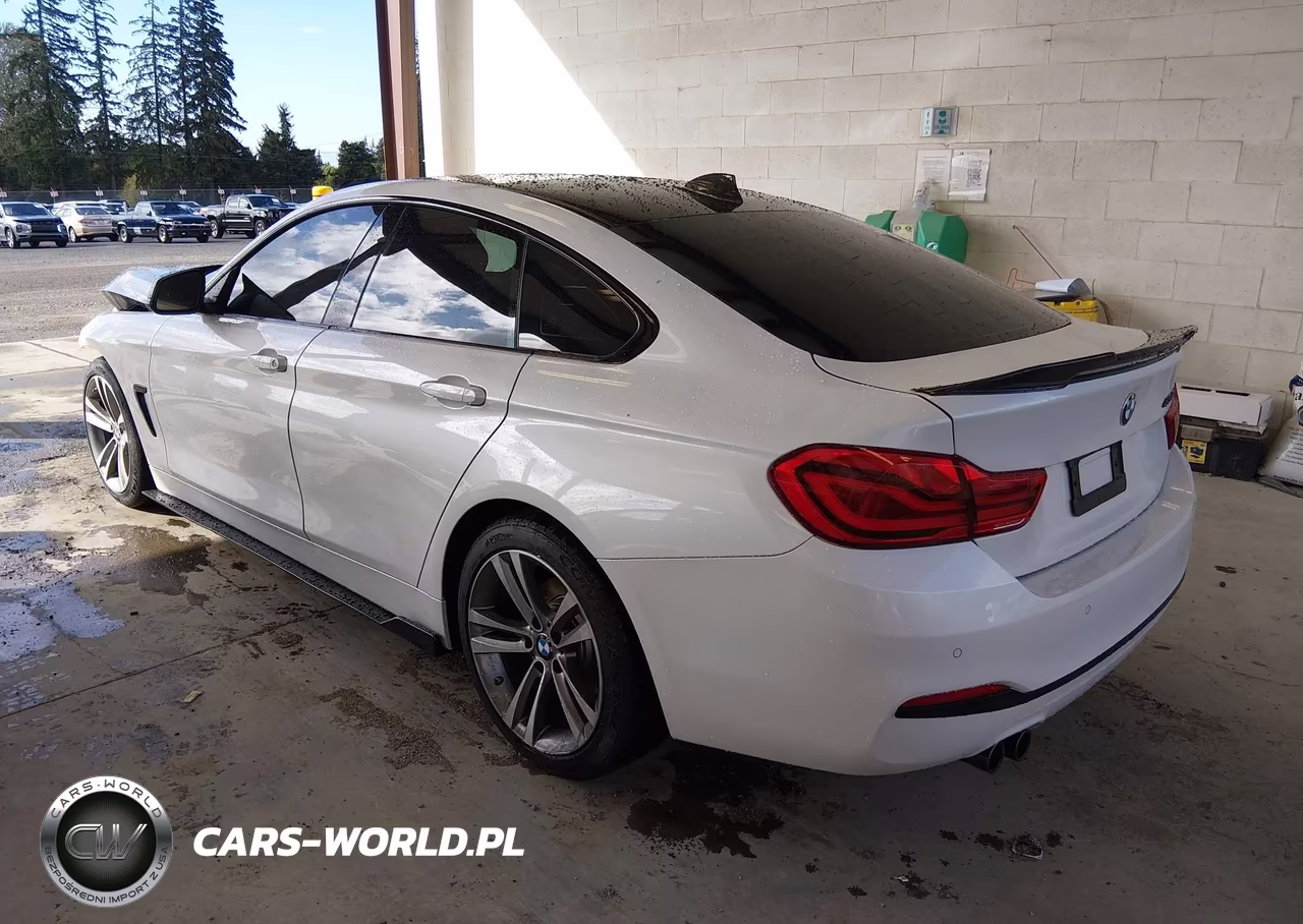 2019 BMW 430I Gran Coupe VIN:WBA4J1C50KBM18431 - 3