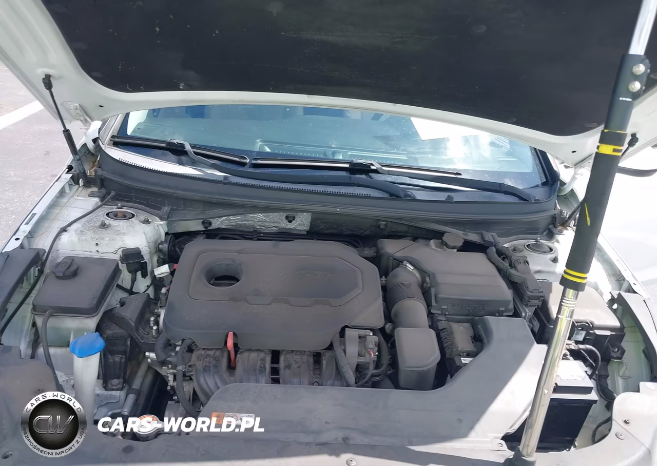 2016 Hyundai Sonata Se VIN:5NPE24AF3GH316452 - 10
