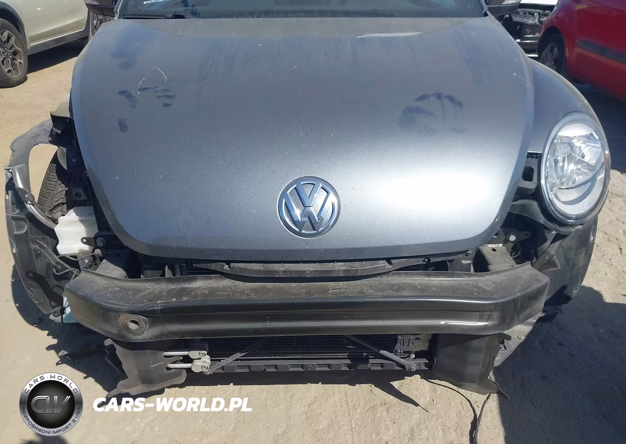 2017 Volkswagen Beetle #Pinkbeetle-1.8T Classic-1.8T S-1.8T Se-1.8T Sel VIN:3VW517ATXHM809368 - 6
