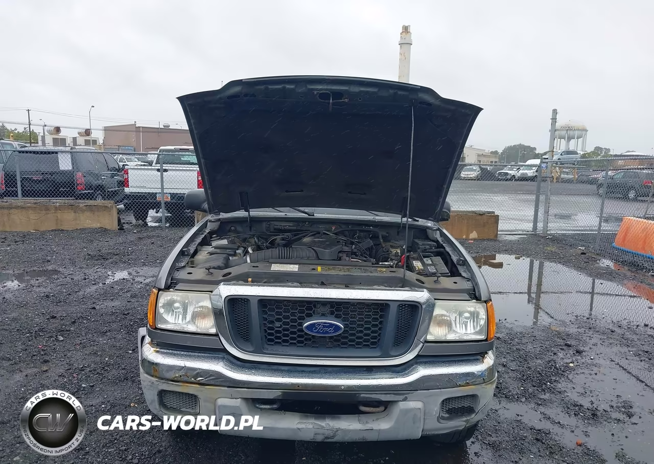 2004 Ford Ranger Xlt VIN:1FTZR15EX4PB20473 - 10