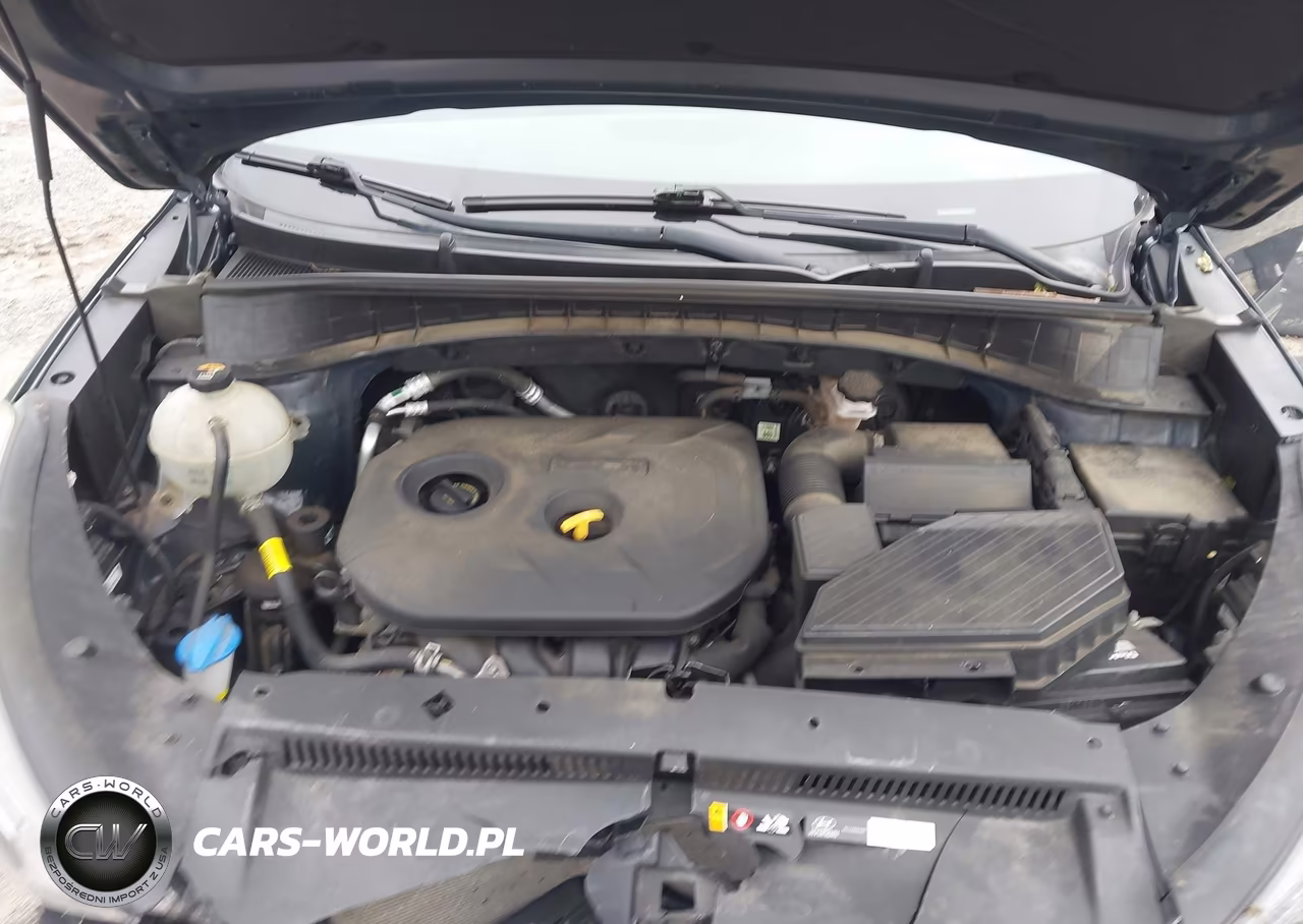 2019 Hyundai Tucson Value VIN:KM8J3CA45KU012604 - 10