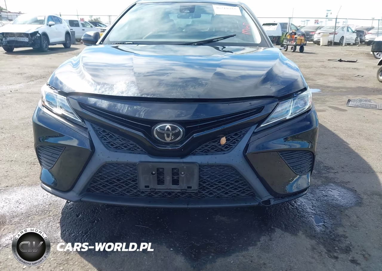 2019 Toyota Camry Se VIN:4T1B11HKXKU202241 - 12